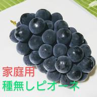 知る人ぞ知る幻のぶどう 「高尾」 | 果物/ぶどう 産直アウル 農家から