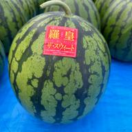 Lサイズ🍉】 羅皇ザスウィート 2玉 小ぶりなサイズ ｜ 果物/スイカ