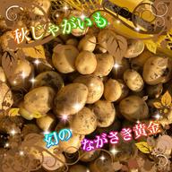 わいん　ながさき黄金20kg　① わいん様専用 ながさき黄金20kg ① 【公式通販】