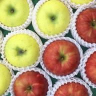 完売】アルプス乙女 1kg (20～30個) | 果物/りんご 産直アウル 農家