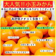 極早生 小玉 有田みかん 2キロ 和歌山 2s 産地直送 | 果物/温州みかん