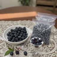 冷凍ブルーベリー 1.5kg ｜ 果物/ベリー類 産直アウル 農家・漁師など