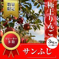 青森県産『サンふじ』家庭用9個〜13個「人気の為数量限定」 ｜ 果物