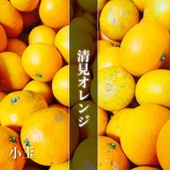 凛 小玉みかん5キロ 有田みかん 和歌山県 ｜ 果物/オレンジ・その他