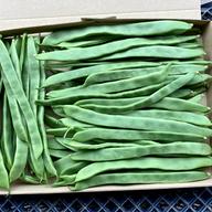鹿児島産】甘塩ゴーヤ箱込み3キロ^_^ ｜ 野菜/ゴーヤ 産直アウル 農家