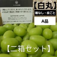二箱 忍まるギフトBOX (一箱 約600g) 葡萄 ぶどう 粒ぶどう お中元 ご