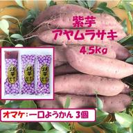 今が旬 生今が旬 落花生おおまさり 農薬・化学肥料使用なし 500g毎