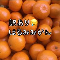 和歌山県産 はるみ ご家庭用 Lサイズ 約5kg | 果物/オレンジ・その他