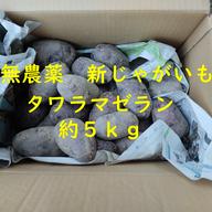 無農薬 新じゃがいも タワラマゼラン 約10kg ｜ 野菜/じゃがいも