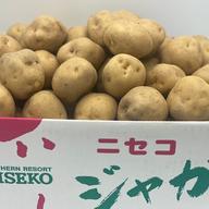 11 キタアカリ Mサイズ 5㌔ じゃがいも 北海道 ｜ 野菜/じゃがいも