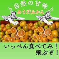 不揃い訳ありいちご ☆栽培期間中•農薬不使用☆ ｜ 果物/いちご 産直