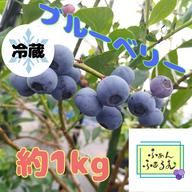 樹上完熟】冷凍ブルーベリー品種MIX 2kg ｜ 果物/ベリー類 産直アウル