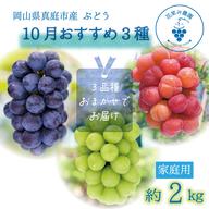 P-2 花笑み農園 岡山の『ニューピオーネ』約2kg（3～4房）家庭用