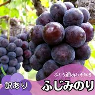 訳有りor粒切り】藤稔4kg箱 ｜ 果物/ぶどう 産直アウル 農家・漁師 