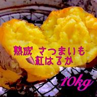 令和7年【熟成】さつまいも 