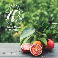 サイダーさま専用 他の方は 買えません ブラッドオレンジ モロ 5年生 大苗 農園イチオシ柑橘>【EHIME UWAJIMA】 ブラッドオレンジ〈モロ〉5kg