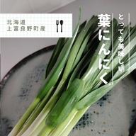 上富良野町 葉にんにく 600g ｜ 野菜/にんにく 産直アウル 農家・漁師