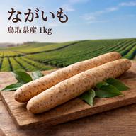 家庭用】ねばりっこ とりたて 10kg程度 長芋 とろろ ねばり 山芋 バラ