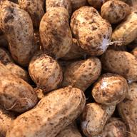 自然栽培のじゃがいも（デストロイヤーとタワラヨーデル）5kg | 野菜