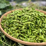 鮮度抜群！枝付き丹波黒枝豆3kg | 野菜/豆類 産直アウル 農家から直接