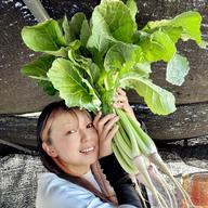 Sサイズ [信州産] 爽やかフェンネル ｜ 野菜/ハーブ 産直アウル 農家