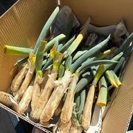 訳ありSサイズ】固定種ネギ『下仁田ネギ』(20本) Sサイズ | 野菜/ねぎ