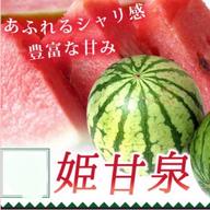大人気【産直で即完売】2玉セット果汁量も多くジューシー果肉は 