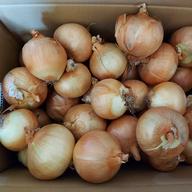 北海道産玉ねぎ【北もみじ2000】M～2Lサイズ混合15kg | 野菜/玉ねぎ