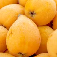 選果落ち 訳あり品】熊本県産 はるか 約2kg 規格外 訳あり品サイズ