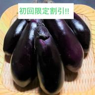 希少性が高い紫つくね芋♪ 1kg ｜ 野菜/長いも・山いも 産直アウル