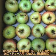 わけあり品】青森県産りんご「トキ」加工・ジュース用 色薄・大キズ