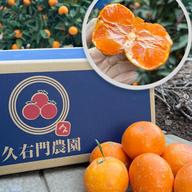 ✨️津之輝✨️つのかがやき10キロ(5キロ箱2個) ｜ 果物/オレンジ