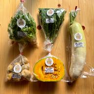 濃甘！野菜セット3種類×2倍量 農薬・化学肥料不使用♪個包装 | 野菜