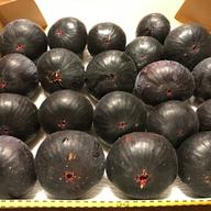 山梨のプラム大石早生約1.2kg ｜ 果物/すもも・プラム 産直アウル 農家