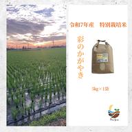R7年産特別栽培米 彩のかがやき 2kg ｜ 米・穀物/米/精米 産直アウル