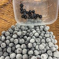 選別済、そのまま食べて欲しい完熟冷凍ブルーベリー4kg | 果物/ベリー