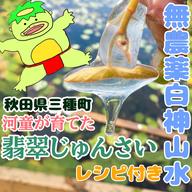 農地直送 秋田県三種町 翡翠生じゅんさい 4キロ ｜ 野菜/その他野菜