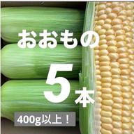 和歌山県産 おおもの ヤングコーン 100本 ｜ 野菜/とうもろこし 産直