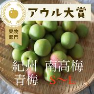 3kg】青梅 南高梅 ｜ 果物/青梅 産直アウル 農家・漁師など生産者から