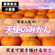 甘い!小さいサイズ! B級小玉の天使のみかん 有田みかん2kg 最高級