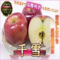 お得　高糖度のシナノスイート10k じぃじの美味しい林檎 リピート確定シナノゴールド】高糖度×柑橘系の酸味で富裕層も好む