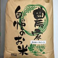 令和7年長野県産 奇跡のお米ゆうだい21 ミネラル仕上げ 炊飯食味値92