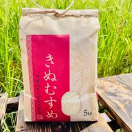 令和7年産】きぬむすめ 3kg ｜ 米・穀物/米/精米 産直アウル 農家
