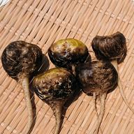 山梨マカ葉パウダー 30g | 野菜/野菜の加工品 産直アウル 農家から直接