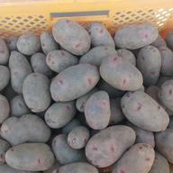 越冬十勝野じゃがいもデストロイヤー ｜ 野菜/じゃがいも 産直アウル