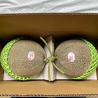 秀品！大迫力の9Lサイズ二玉入り 上品な甘さと風味の肥後グリーン 