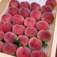 旬祭限定】山梨県産 日川白鳳 家庭用 2合（2キロ箱使用×2箱。正味1.3