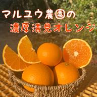 幻のみかん】今村温州（3L）5kg ｜ 果物/温州みかん 産直アウル 農家