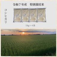 R7年産特別栽培米 コシヒカリ（玄米）20kg ｜ 米・穀物/玄米 産直