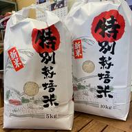 コシヒカリ 10kg 令和7年産 ｜ 米・穀物/米/精米 産直アウル 農家